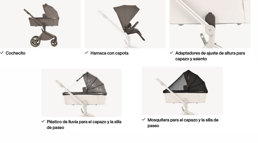 Anex flo complementos